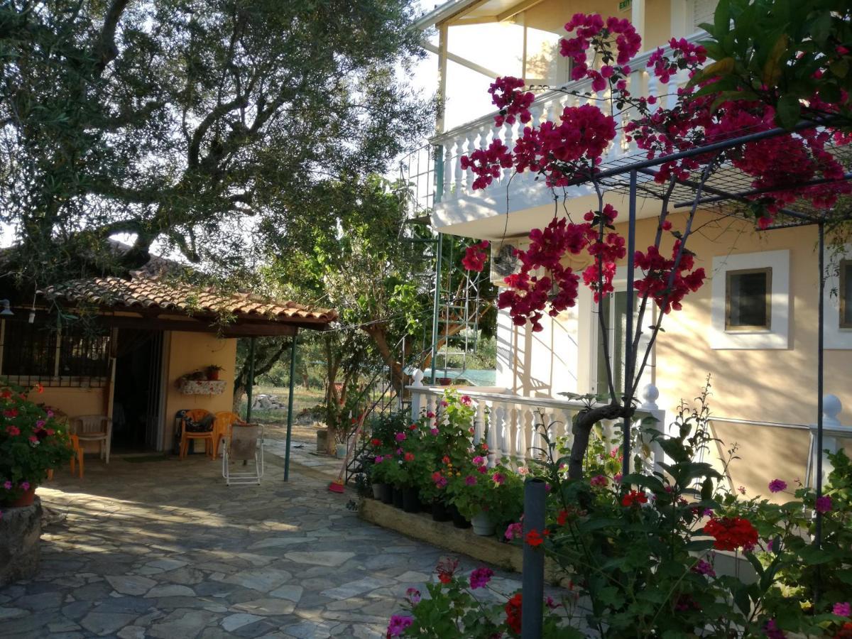 Casa Dyonisia Tsilivi Aparthotel Planos  Exterior photo
