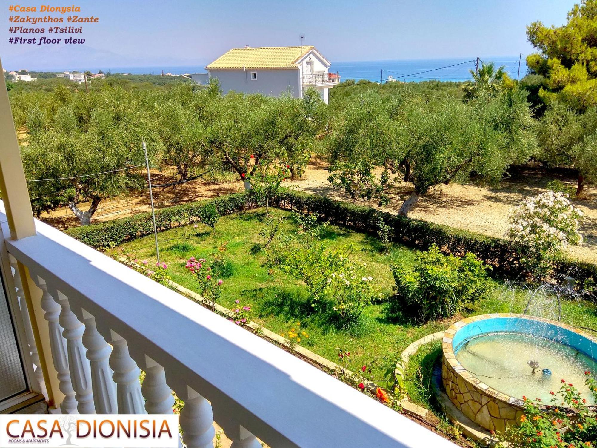 Casa Dyonisia Tsilivi Aparthotel Planos  Exterior photo
